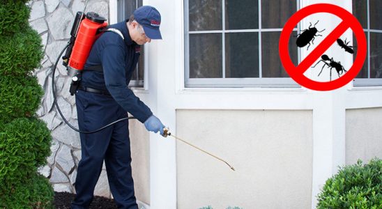 Çamoluk Kene İlaçlama böcek ilaçlama ve haşere kontrolü — ilaclama-tr.com
